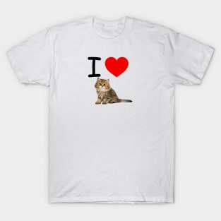 I HEART CUTE FLUFFY KITTEN T-Shirt